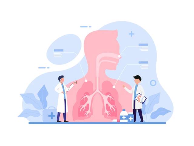Cara Memelihara Organ Pernapasan Dalam Kehidupan Sehari-Hari Cara Memelihara Organ Pernapasan Dalam Kehidupan Sehari-Hari